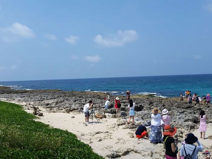 初夏台湾行体验一衣带水的温情