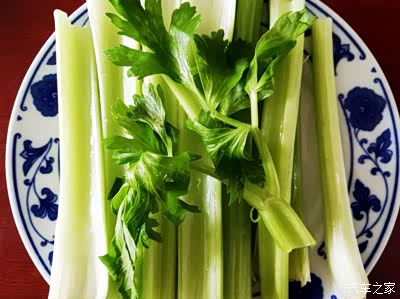 媳妇接来句拍照要造型摆那样看儿子接茬粑粑我可以摆玩吗嘞这热闹全家