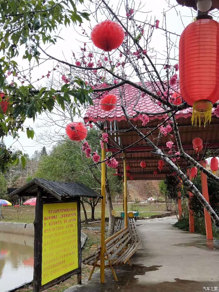 自驾哈二陪幼儿园孩子到梅州金丰园农庄一日游