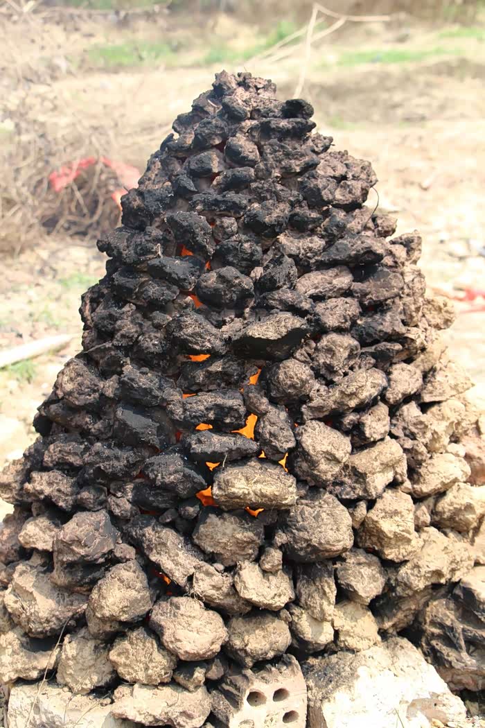 别家团队的窑红薯,这窑不太标准啊,缝隙太热量跑快