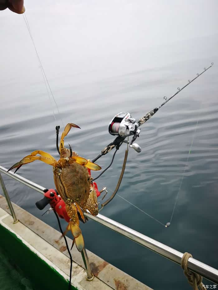 东兴阿东哥的第一次涠油海钓