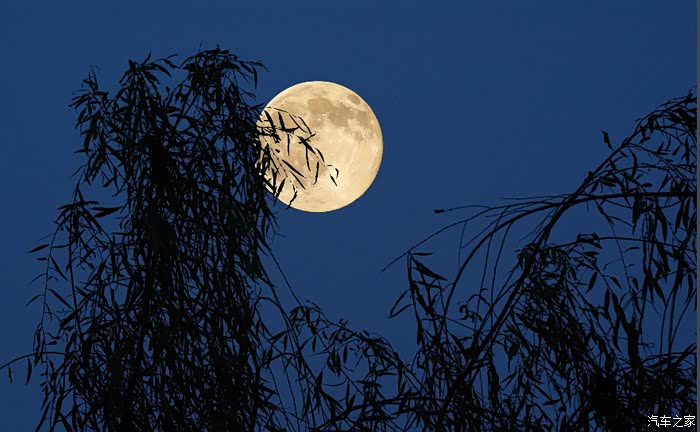 月上柳梢头人约黄昏后