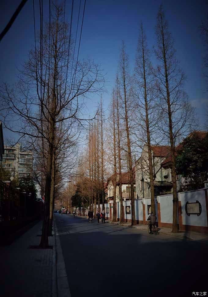 上海市最浪漫的道路甜爱路走走看看感受浪漫的氛围