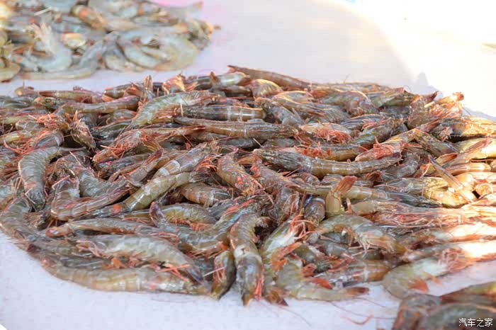 大连cs75车友俱乐部188吃在庄河海鲜篇