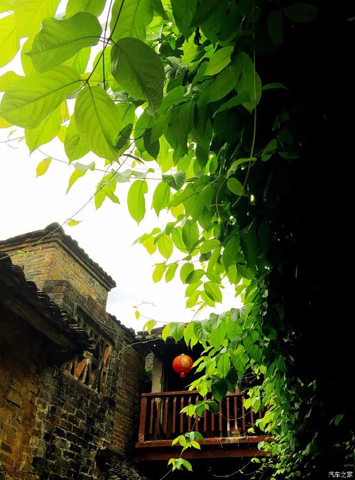 闲适散淡的山水画卷