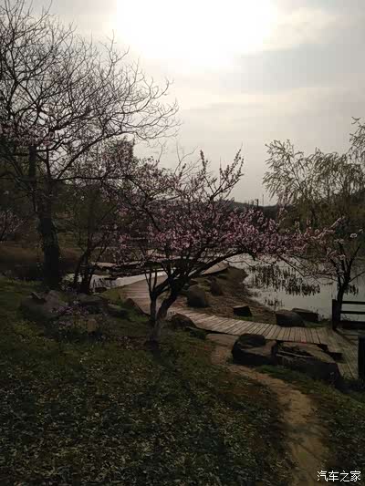 春暖花开,聚宝山庄轰趴馆游记