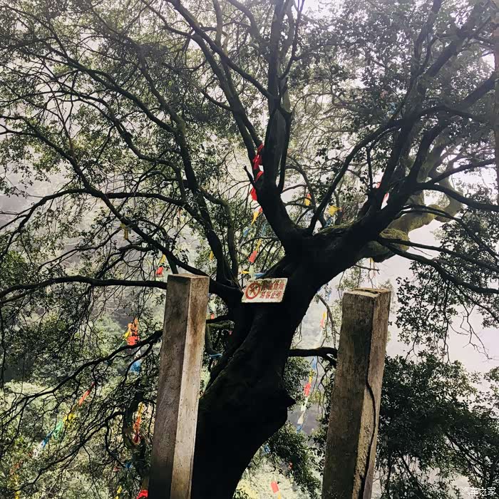 垫江宝鼎山游记