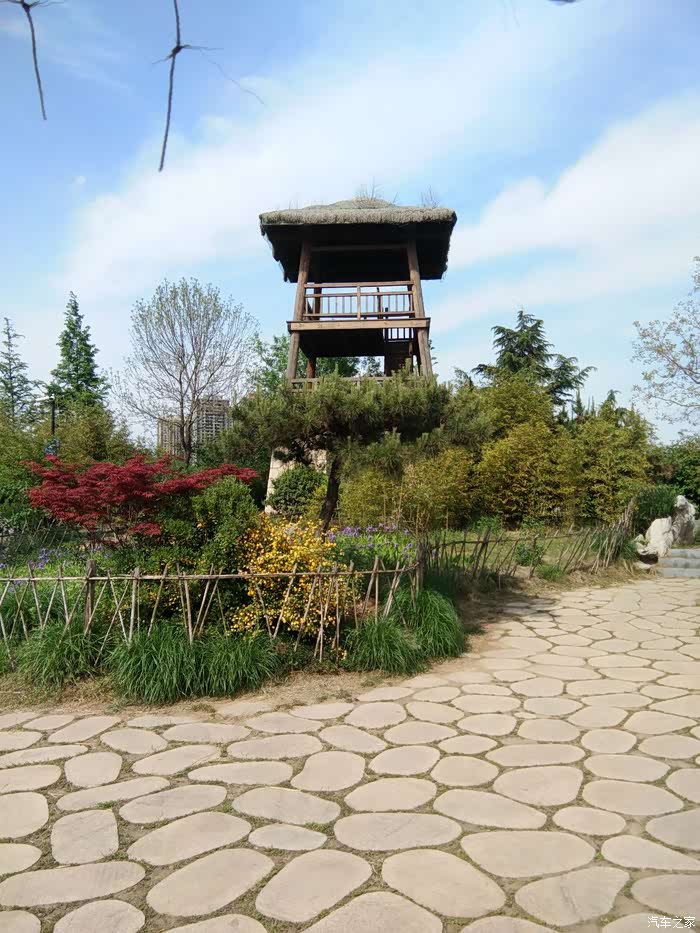 【图】落花有意流水无情 美女车主