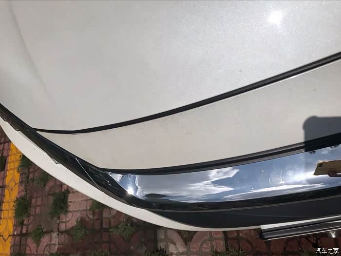 你们的珍珠白车盖和前面那条白色的不这样的?