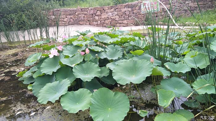 自驾游至石岭水库登大坝看美景
