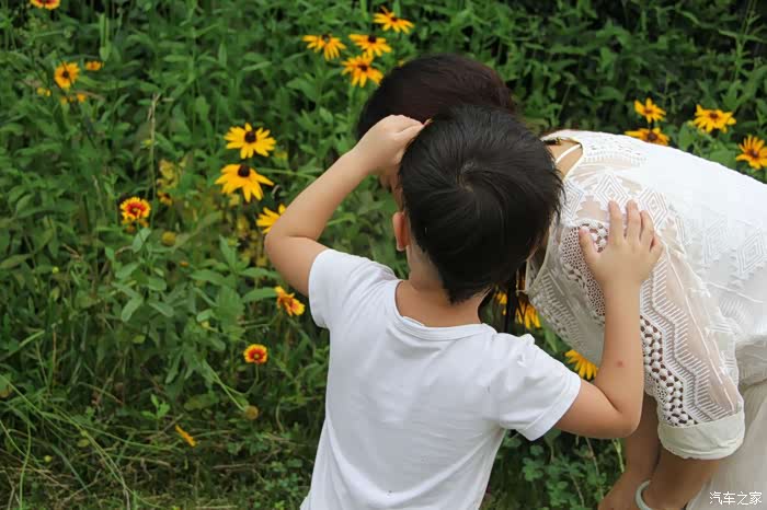 宝贝当车模紫薇花野童趣盎然表情包大放送