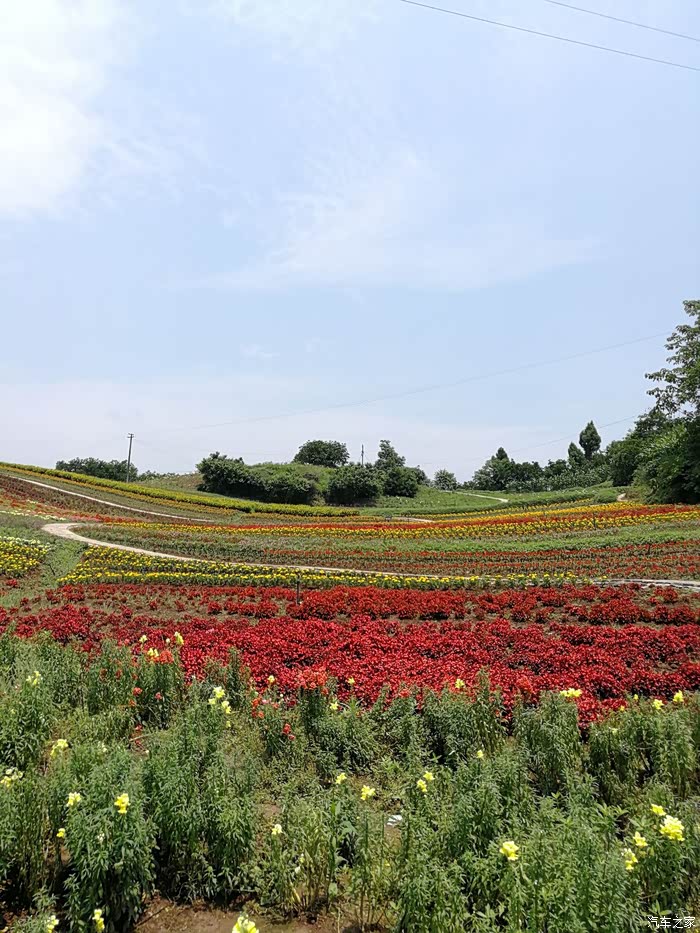 【重庆cs35车友会】o1877—我的妖舞带我璧山三担湖散心游玩