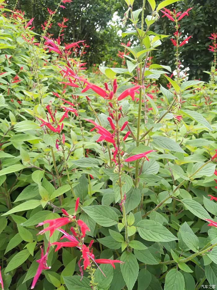 【图】七月,我喜欢的季节——一二三生活中的美好到来!_帝豪gl/帝豪gl