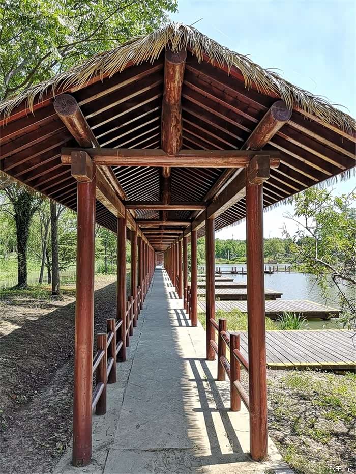 茅草长廊一眼望不到尽头,躲着太阳,吹着湖风还是很不错的