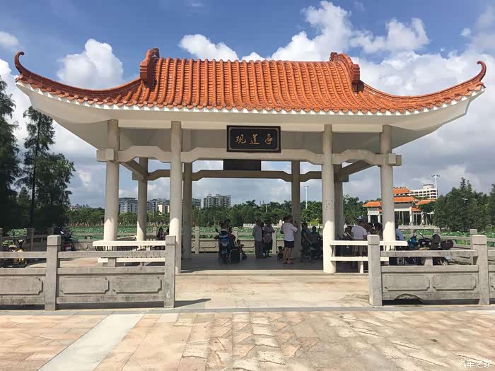 游记激情燃烧的夏天带蓝妹妹去得能湖公园看荷花