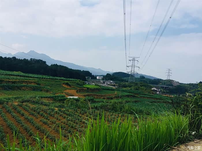 深圳cs75车友会097杜杜夏日的田野