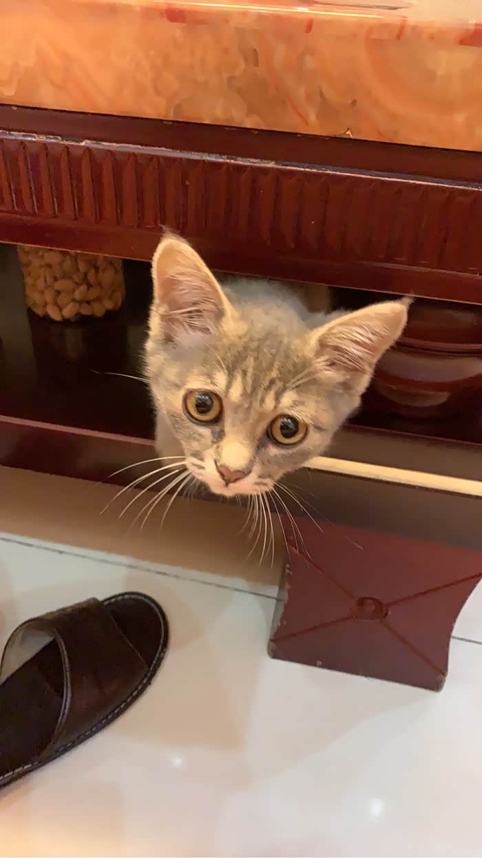 【图】净尚改装HUD 抬头显示