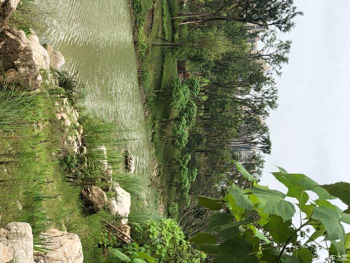 美丽的桂溪生态公园