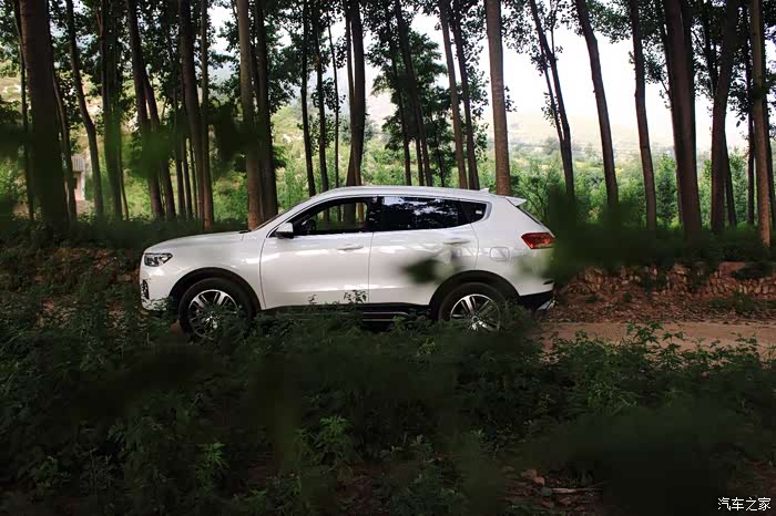 侧身来一张!彰显小六子强有力的肌肉线条!