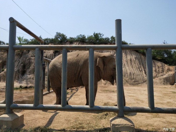 鶴壁河南帝豪gs俱樂部八達嶺野生動物園之旅多圖