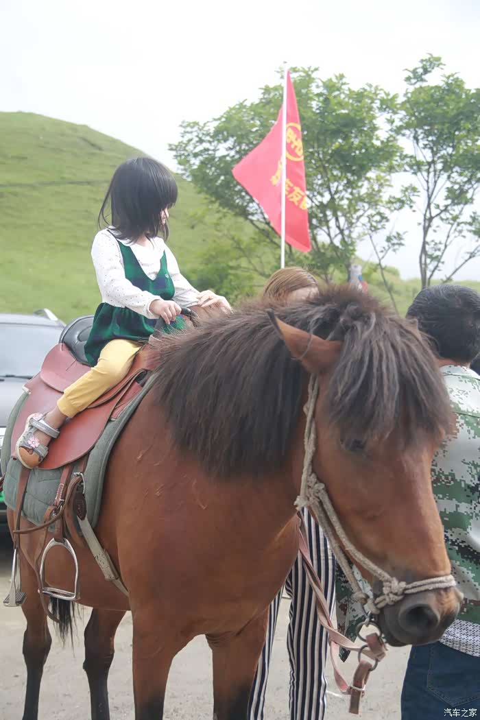 我女儿第一次骑上真正的马,兴奋不了,平时都是拿我当马骑的