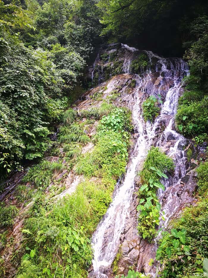 行走中国(炎陵) 丈量世界(酈峰)之---炎陵梨树洲登山避暑