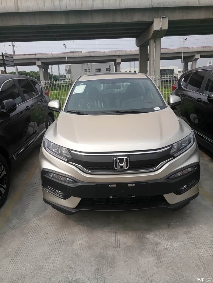 买金色的 来个报个到