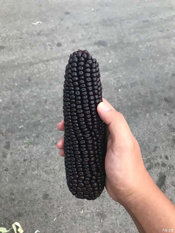 先来一张黑粗硬镇楼