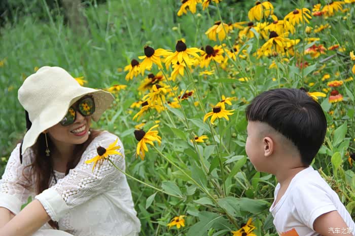 【宝贝当车模】紫薇花野,童趣盎然---表情包大放送