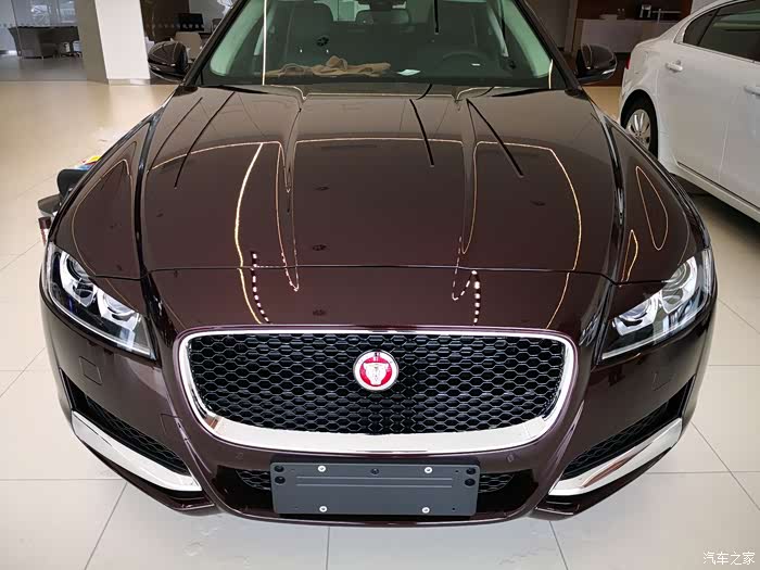 【图】蓝色小豹子,犹如内心骚动的心,_捷豹xe/xel论坛_汽车之家论坛