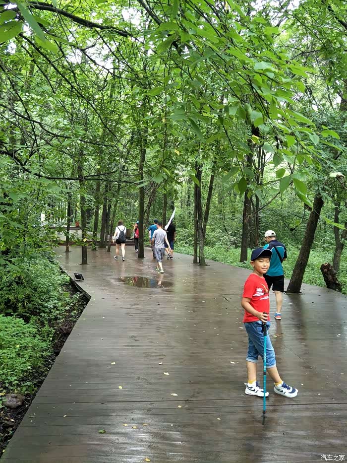 哈尔滨奇瑞精英汇带上儿子和车友去爬山