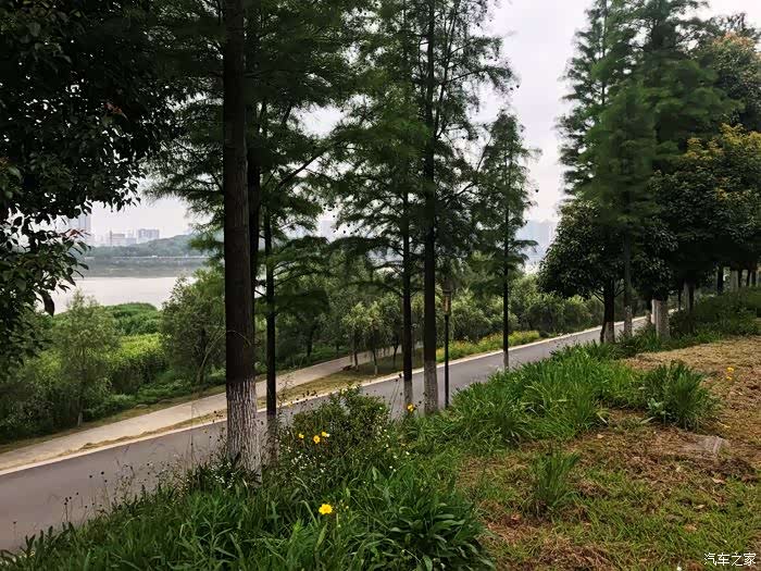 人肉亲测2018款纯正本田佳御(LEAD125)最大