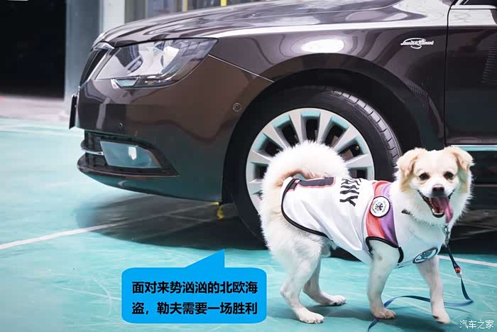 世界杯特辑足球宝贝为德国队打call