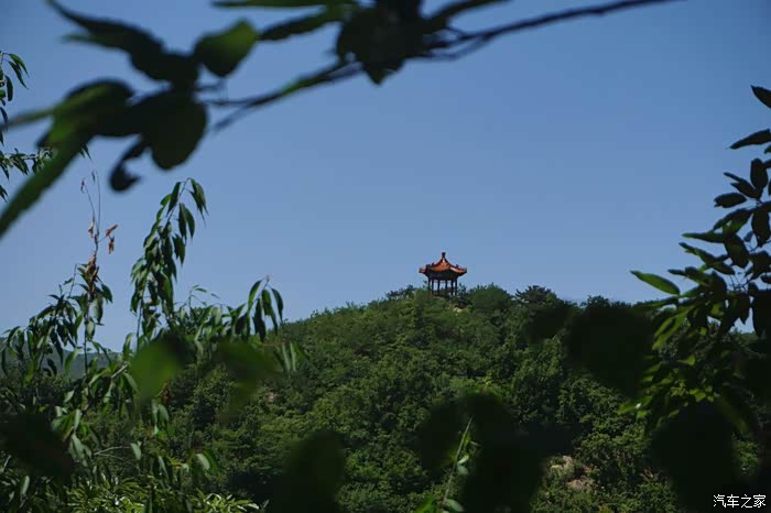 初夏到大杨山森林公园森呼吸