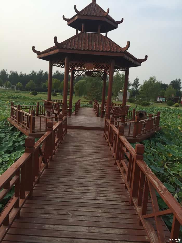 襄汾荷花园游园记