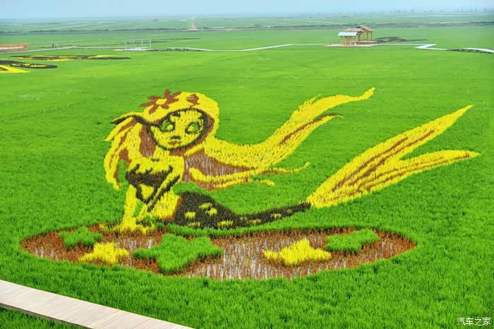 带着小三去红海滩!