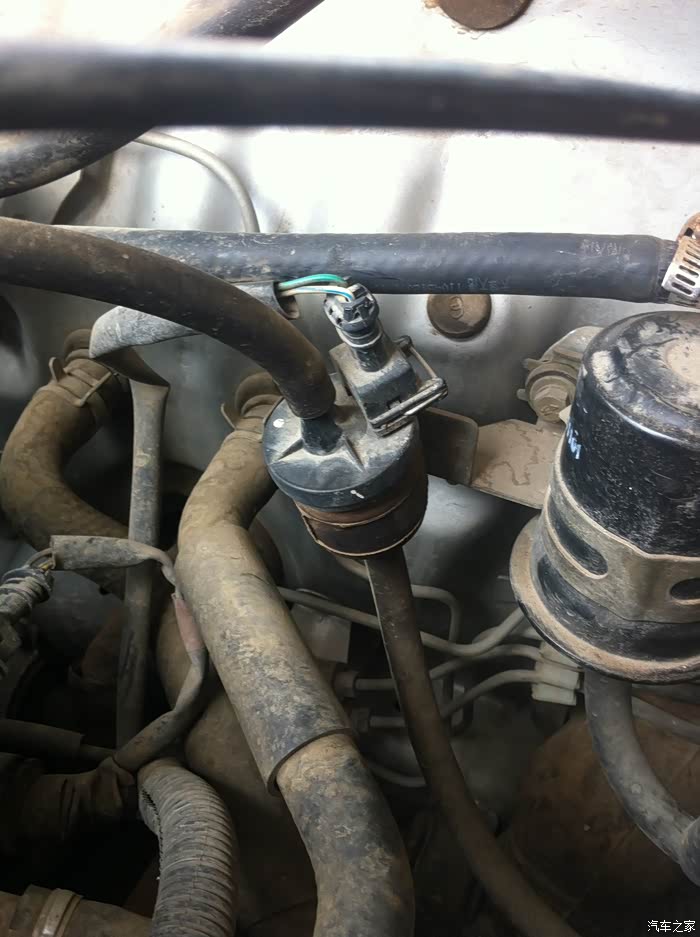 请问朋友们哪个是碳罐