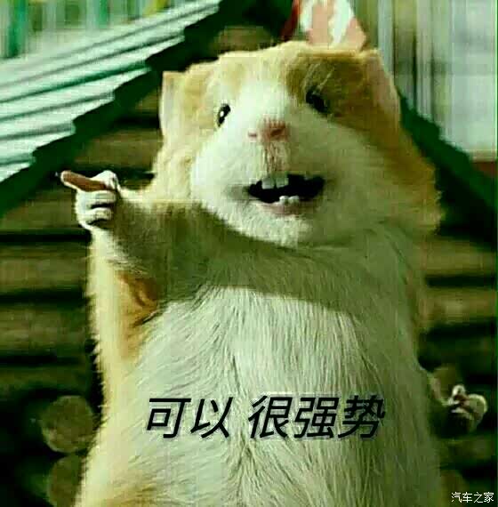 说到飚车我就来劲了…自贡东环立交等你…输者把车留下