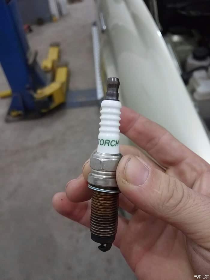 我的小三子最近的疗养