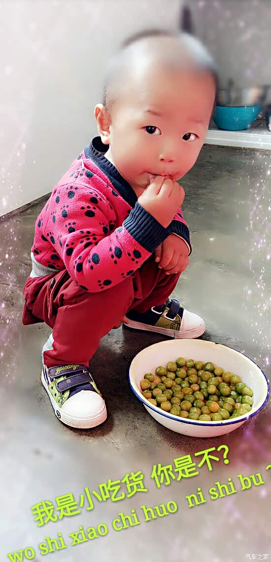 我的小三子最近的疗养