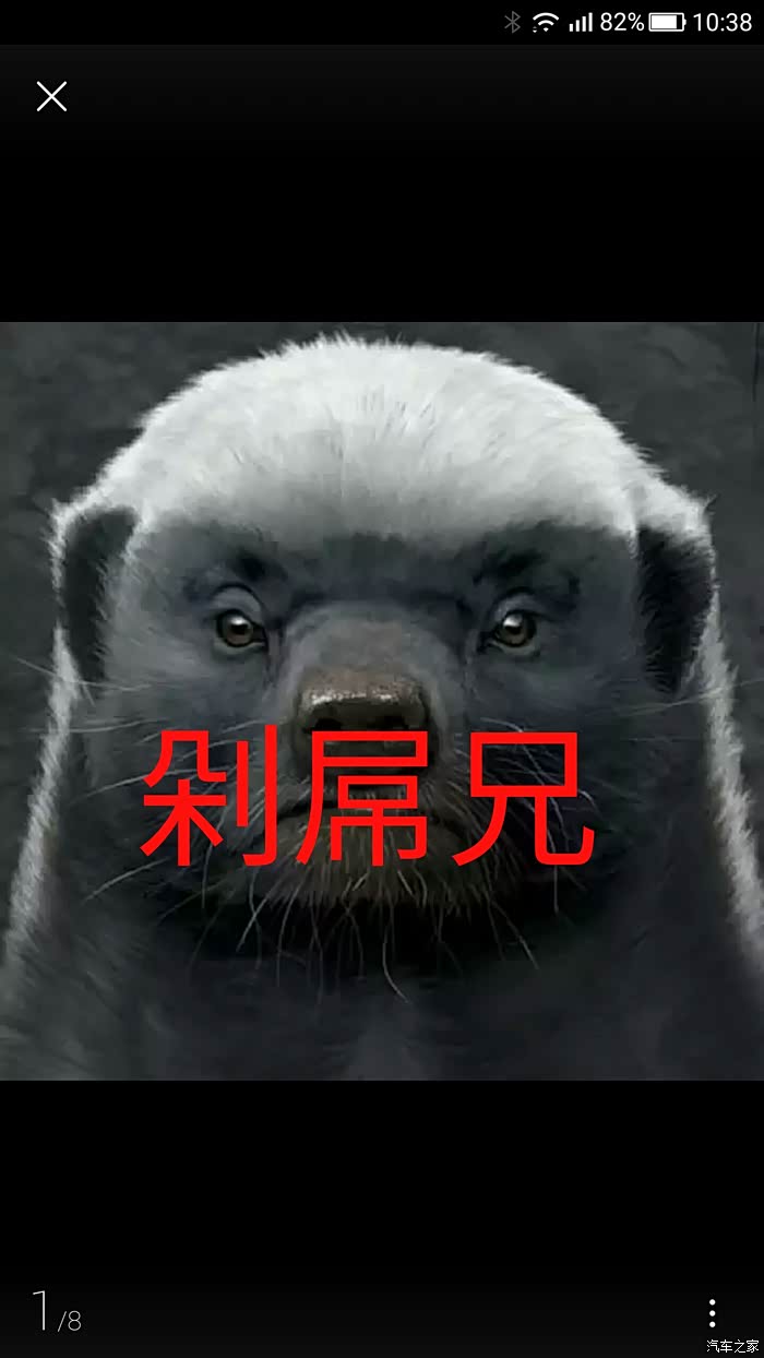 既然说剁屌了,我也就不食言了