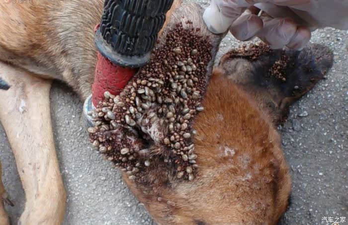 石头版主进来看看吧,介个是你熟悉的