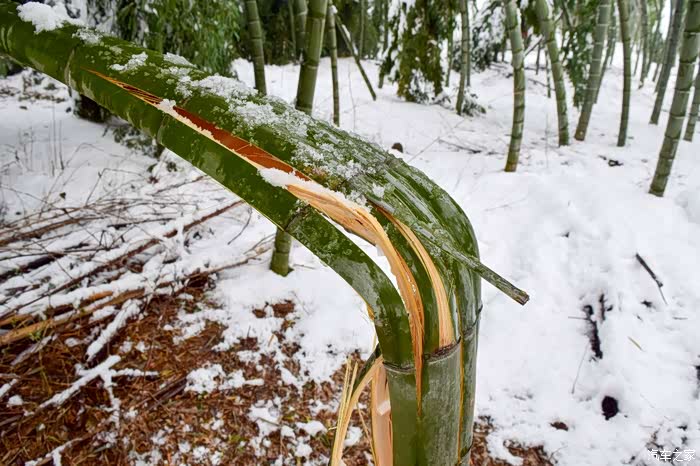 【欢度双节】媳妇雪地当的,一家三口嗨在大蜀山