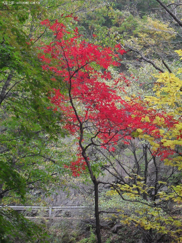 101本溪關門山天龍洞自自駕日遊