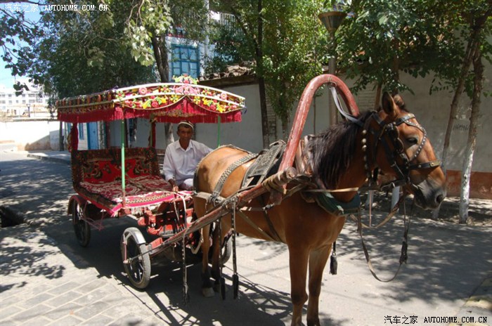 伊宁街上马车 &nbsp;俗称"马拉克"引用源名车-凯迪拉克.