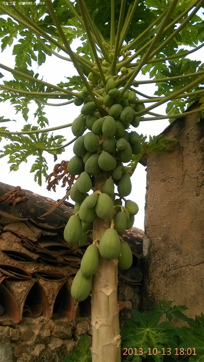 力帆x60上昌江霸王岭