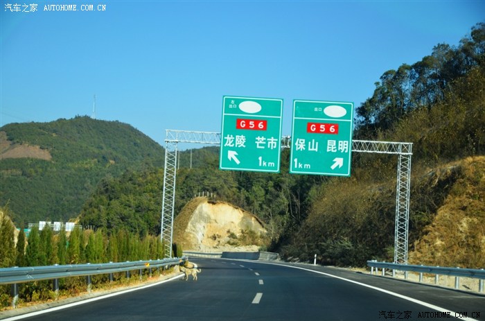 藏野驴再驾彩云之南瑞丽腾冲大理东川嗨得爽