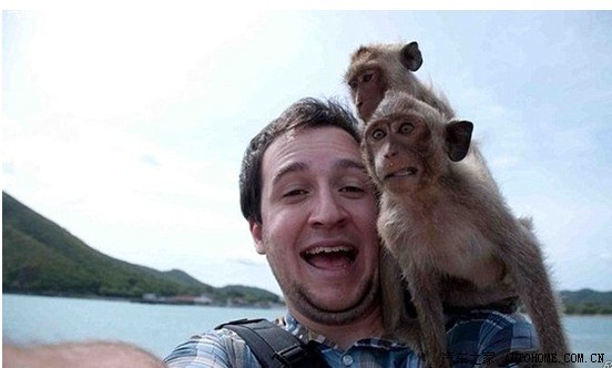 让你狂笑不止的宠物