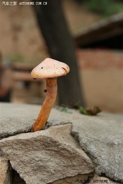 好怀念在承德大滩的日子