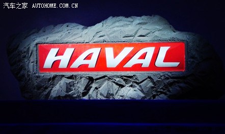 哈弗新标好看!